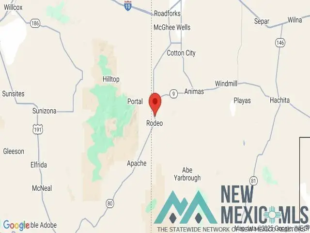 TBD Estrellas Parkway Road, Rodeo, NM 88056 - #2