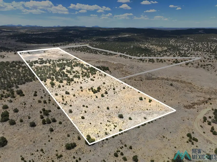 YY Slurry Road, Pie Town, NM 87827 - #2