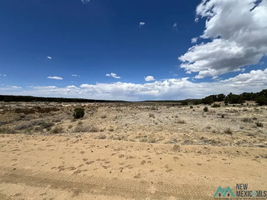 ZZ Slurry Road, Pie Town, NM 87827 - #3