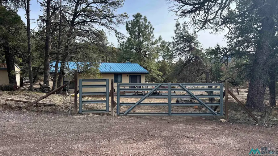 116 Sombra Del Gallo Circle Road, Quemado, NM 87829 - #2