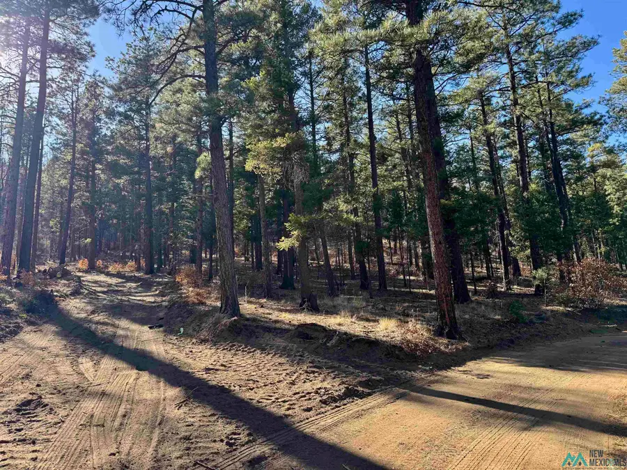 4.41 W Canyon Loop, Mora, Mora, NM 87732 - #2