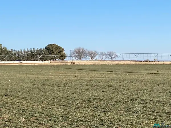 3410 E Rose Road, Hobbs, NM 88241