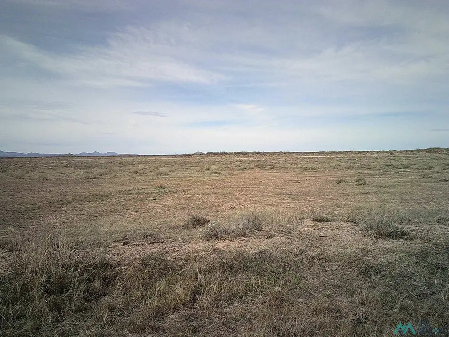 00 SW Brazil Rd Road, Deming, NM 88030 - #2