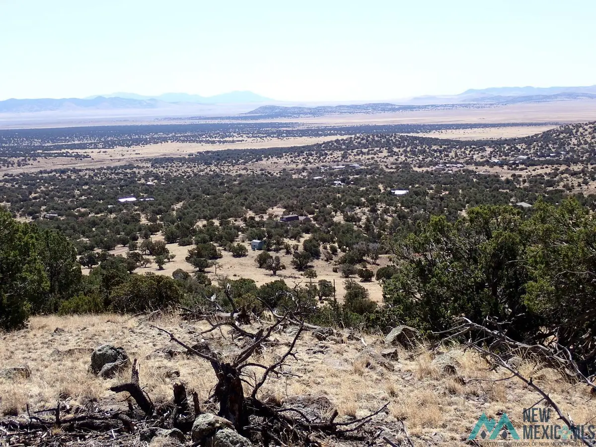 XX Tanglewood Circle, Datil, NM 87821 - #1