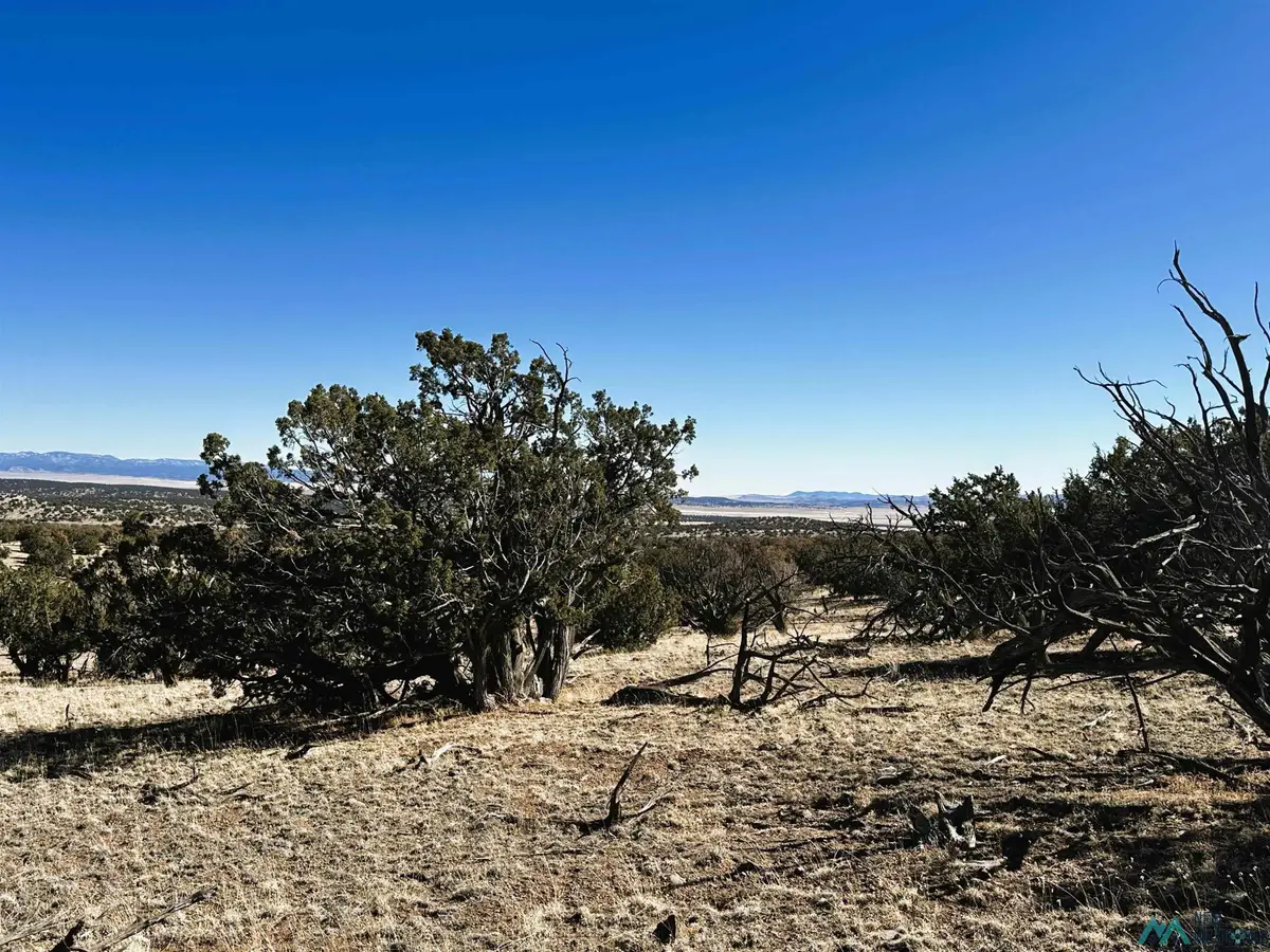 YY Tanglewood Circle, Datil, NM 87821 - #1