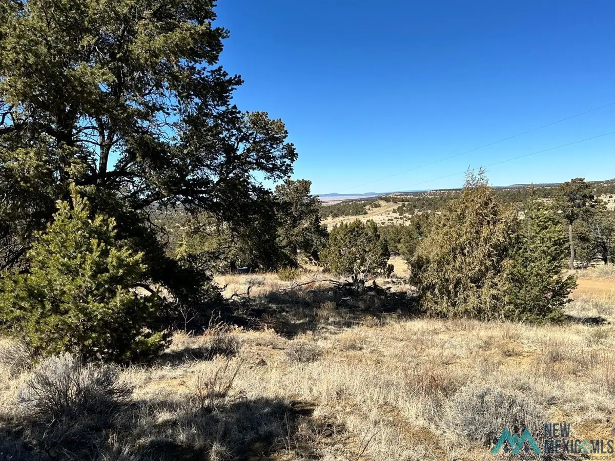 XX Latigo Loop, Pie Town, NM 87827 - #1