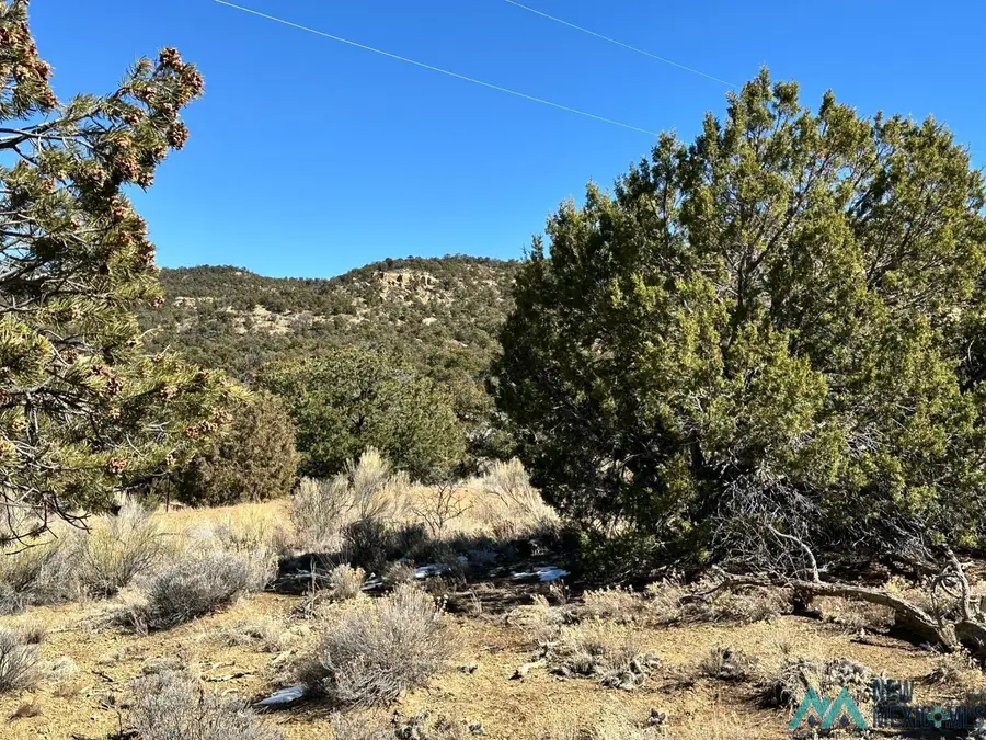 XX Latigo Loop, Pie Town, NM 87827 - #2