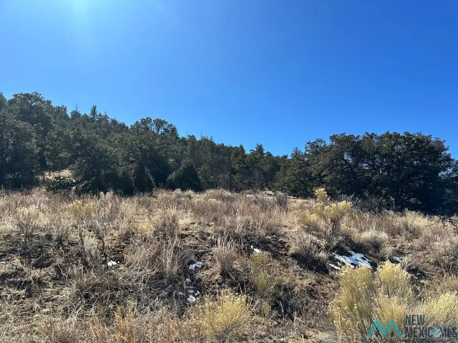 XX Latigo Loop, Pie Town, NM 87827 - #3