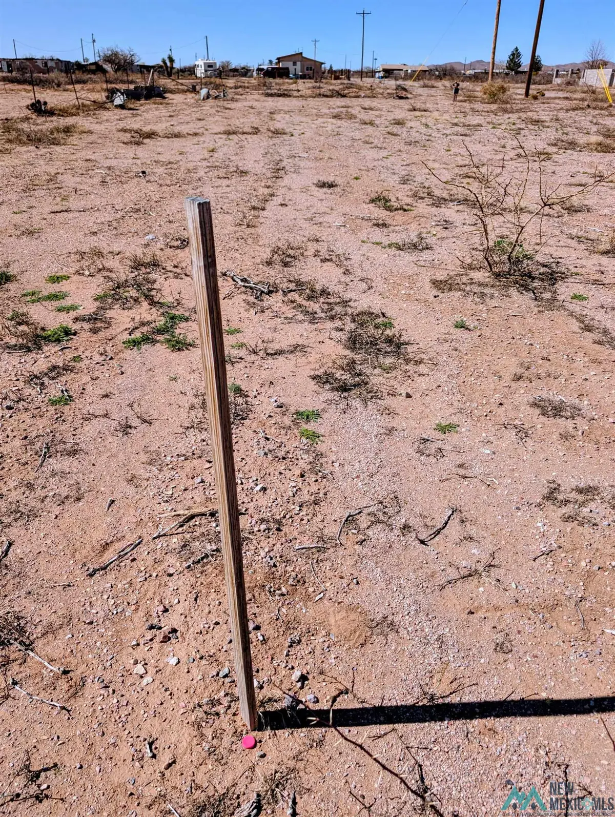 XXXX E Ross Ave Avenue, Columbus, NM 88029 - #1