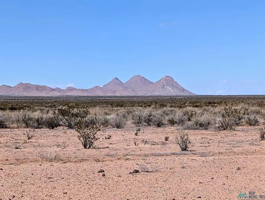 XXXX No Street, Columbus, NM 88029 - #3