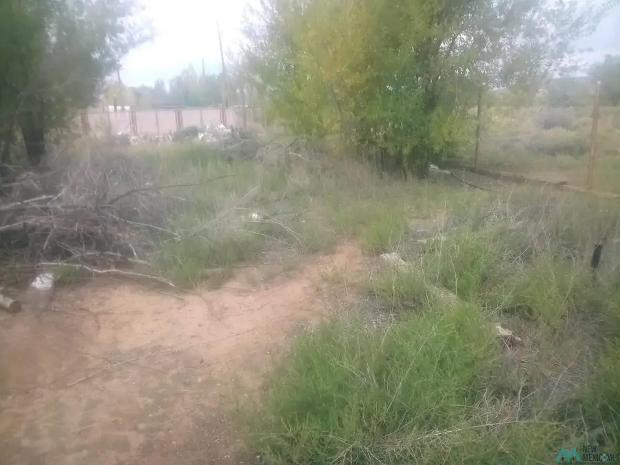 133 Michael Street, Grants, NM 87020 - #3