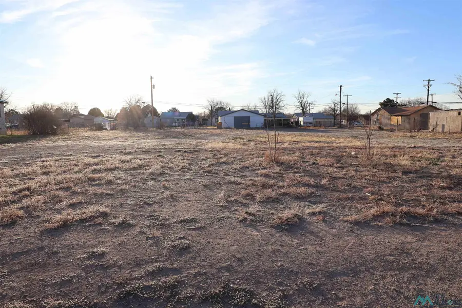 1102 S Lea Avenue, Roswell, NM 88203 - #3