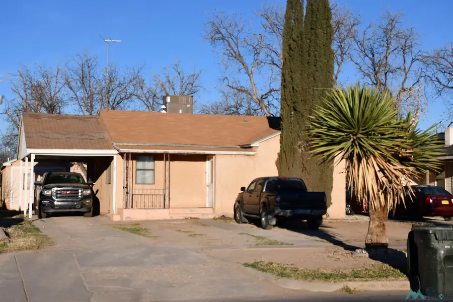 507 S Lake Street, Carlsbad, NM 88220 - #2