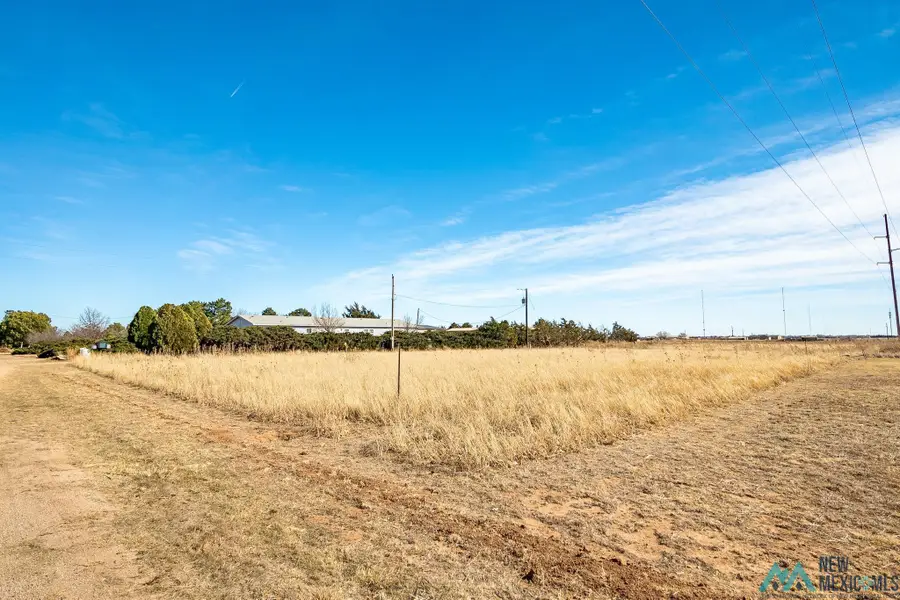 701 Gunstock Drive, Clovis, NM 88101 - #3