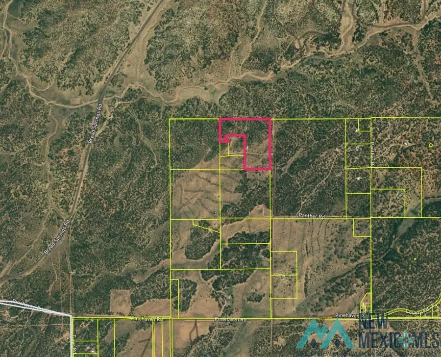 51 Panther Road, Pinehaven, NM 87301 - #2