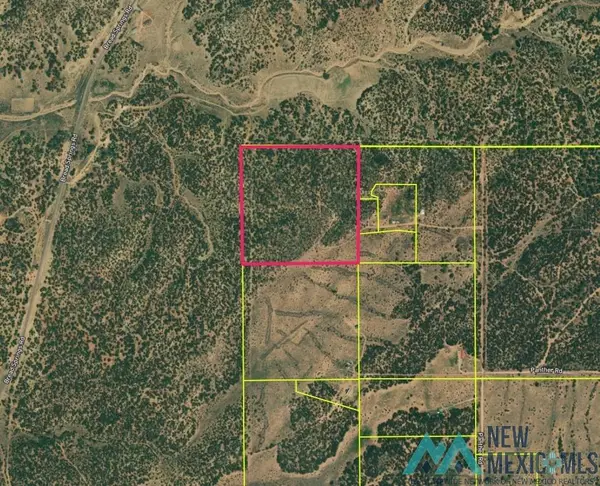 00 Panther Road, Vanderwagen, NM 87305