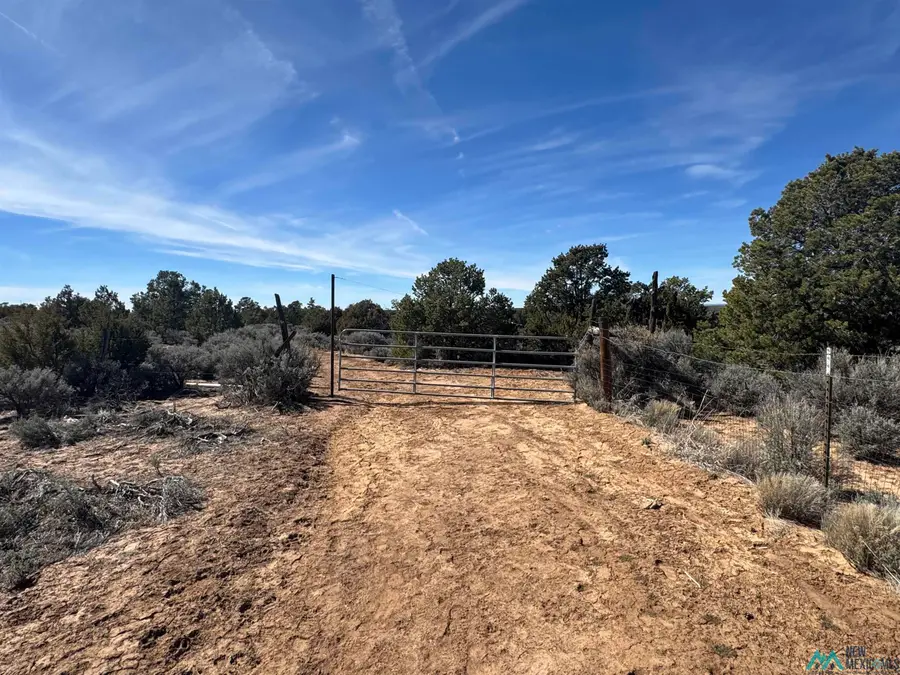 00 Panther Road, Pinehaven, NM 87305 - #3