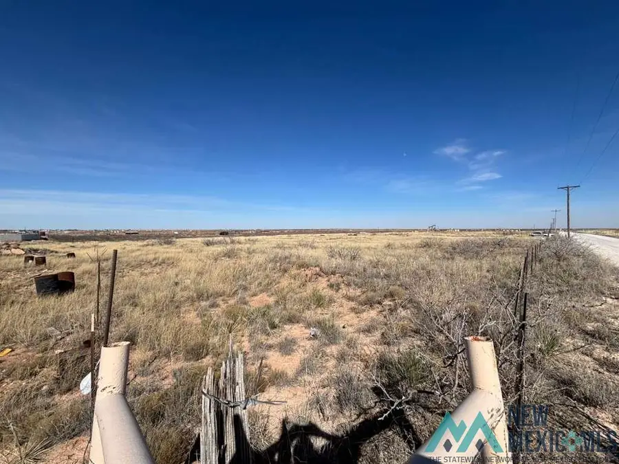 21 Water Dog Road, Hobbs, NM 88240 - #3