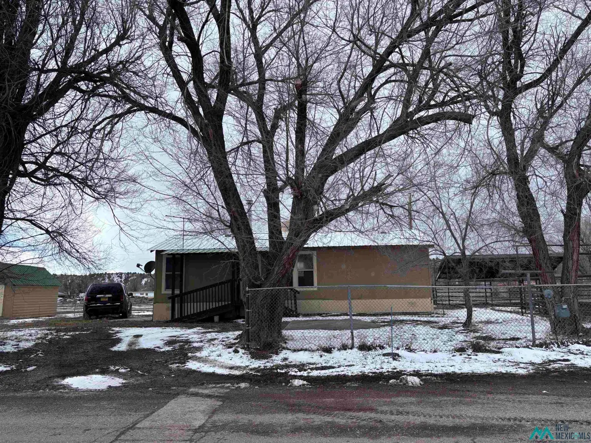 28 County Rd. 356, Lumberton, NM 87528 - #1