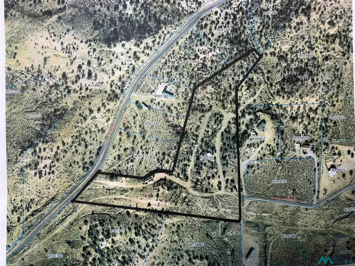 TBD China Springs Road, Gamerco, NM 5 - #1