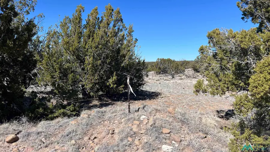 45 Pima Dr. Road, Quemado, NM 87829 - #2
