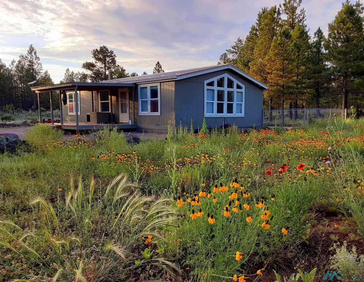 29 Magma Road, Grants, NM 87020 - #1