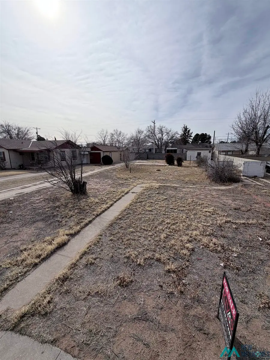 311 E Green Acres Drive, Hobbs, NM 88240 - #3