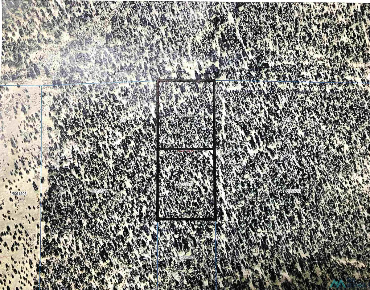 TBD Cousins Rd., Sagar, NM 5 - #1