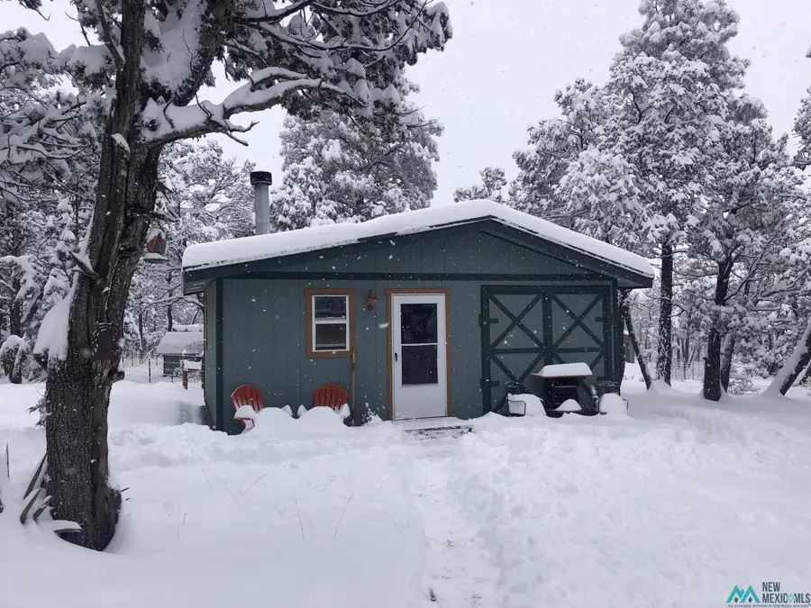 43 Bear Lane, Timberon, NM 88350 - #2