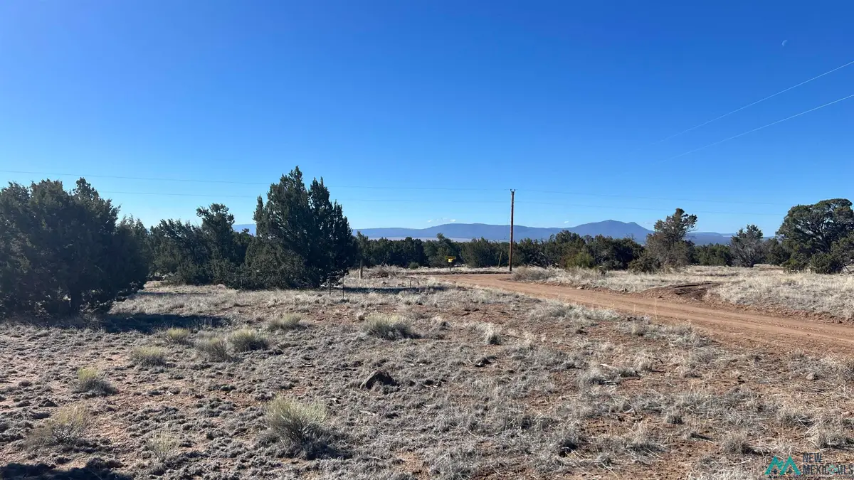 TBD Navajo Way Road, Quemado, NM 87829 - #1