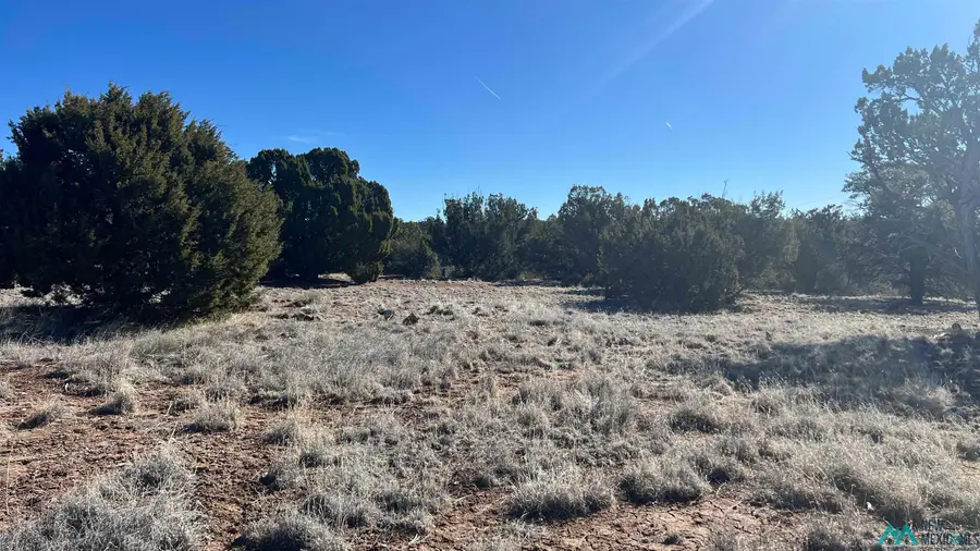 TBD Navajo Way Road, Quemado, NM 87829 - #2