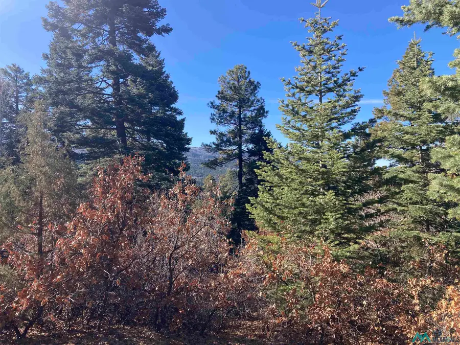 9 Red Rock, Chama, NM 87520 - #2