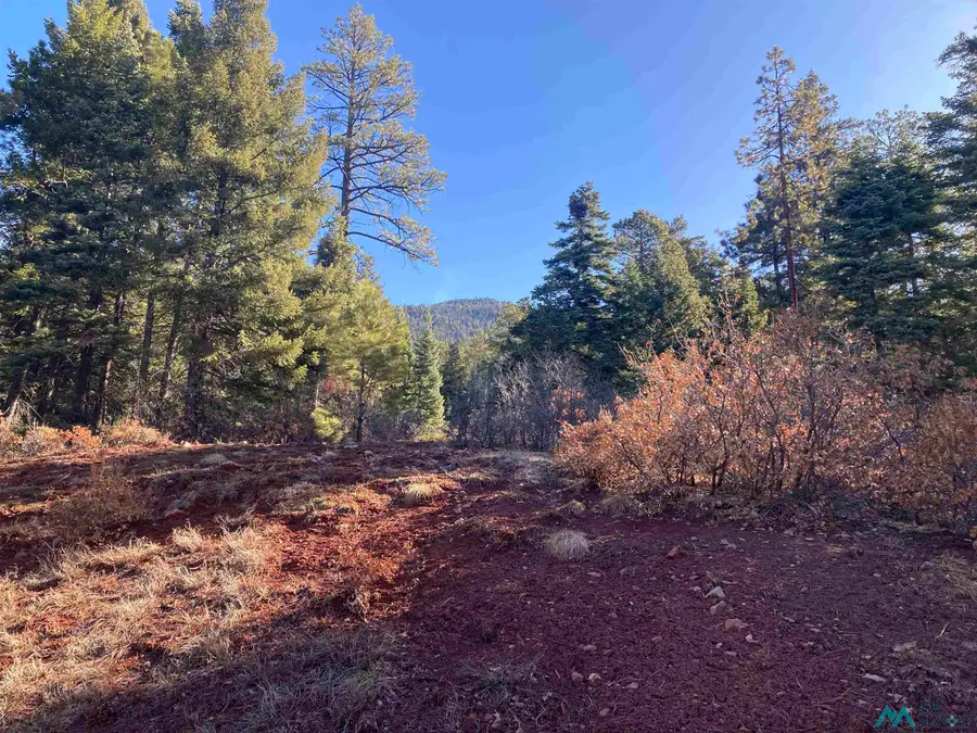 9 Red Rock, Chama, NM 87520 - #3