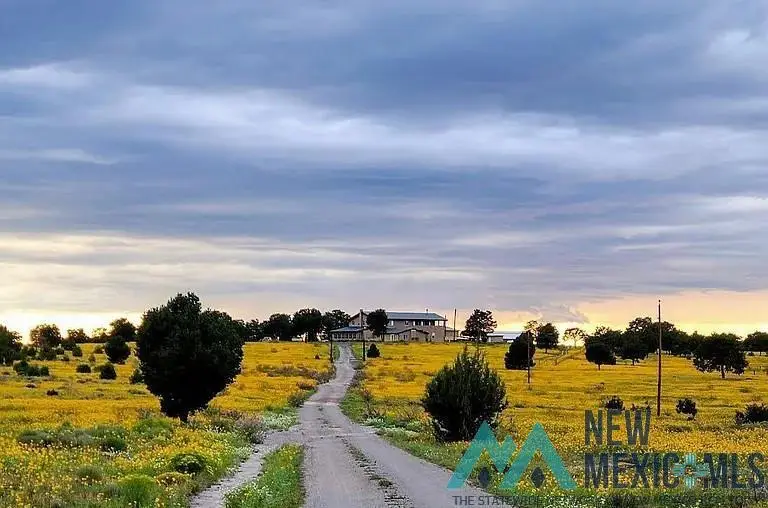 32 W Hickey Road, Pie Town, NM 87827 - #1