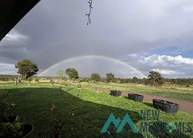 32 W Hickey Road, Pie Town, NM 87827 - #3