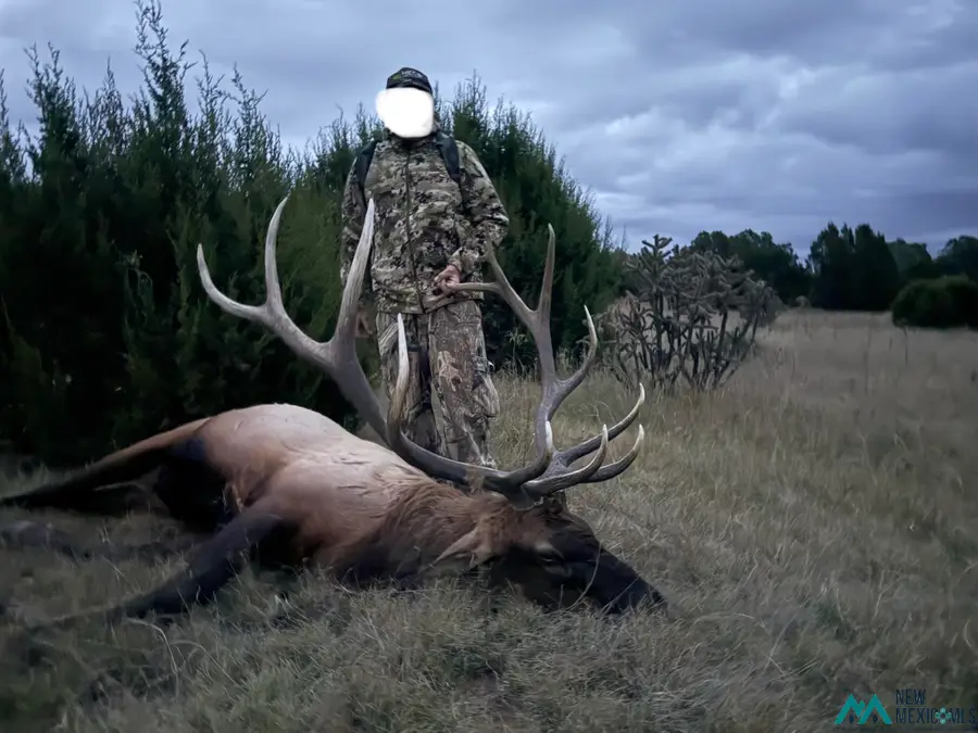 C53A 1 Road, Las Vegas, NM 87701 - #3