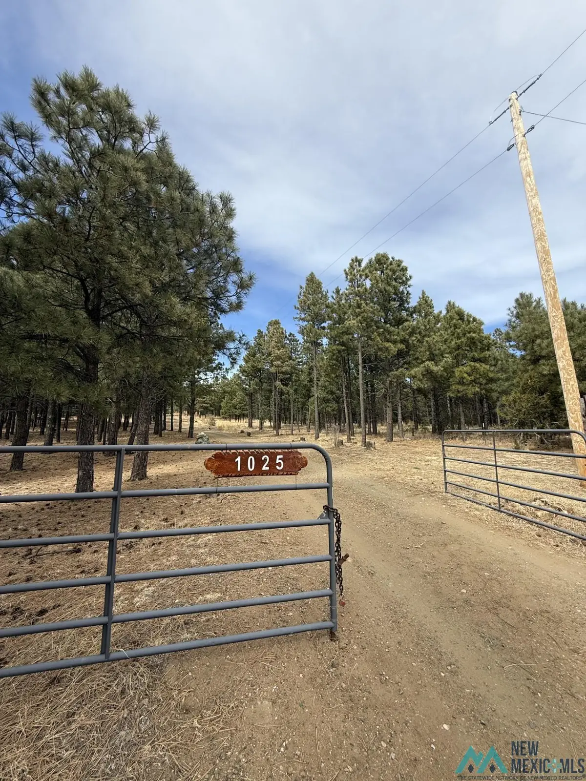 1025 Hwy 94 Highway, Guadalupita, NM 87742 - #1