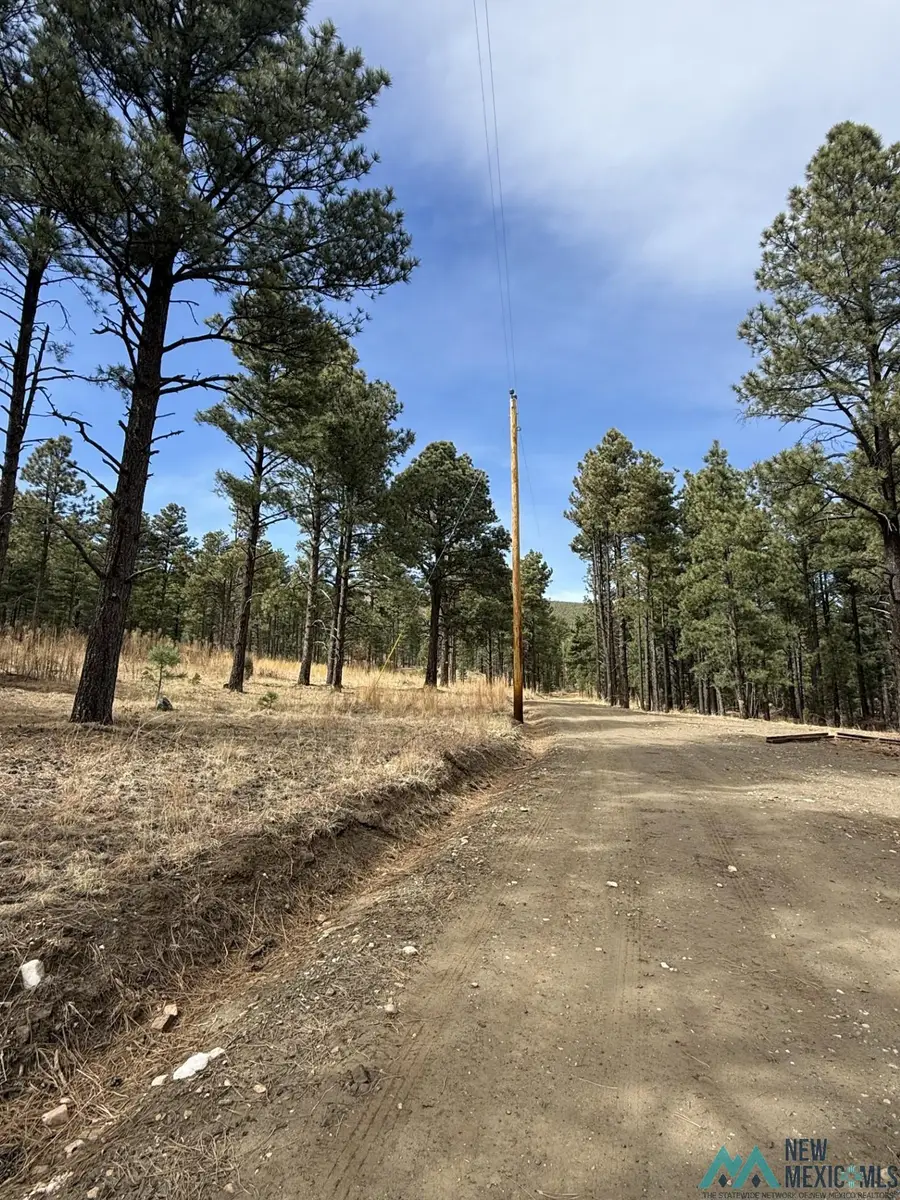 1025 Hwy 94 Highway, Guadalupita, NM 87742 - #2