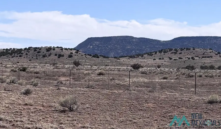 TBD Lot 102 Pierda Lumbre, Youngsville, NM 87064 - #3