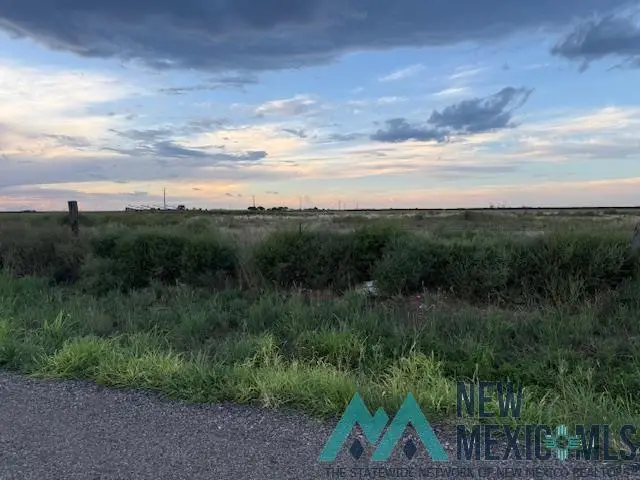 590 E Wilhite, Clovis, NM 88101 - #1
