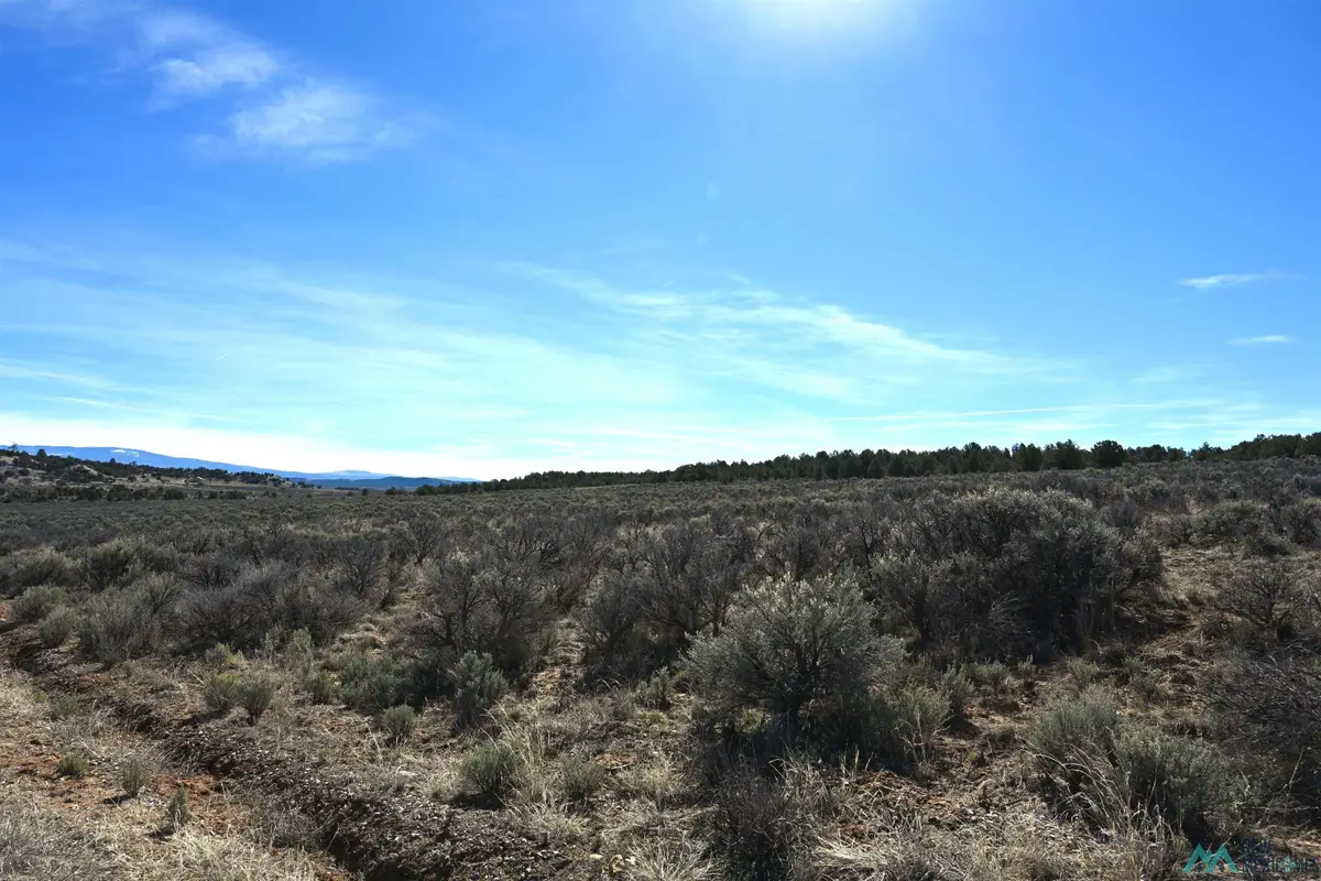 00 Pajarito Road, Tierra Amarilla, NM 87575 - #1