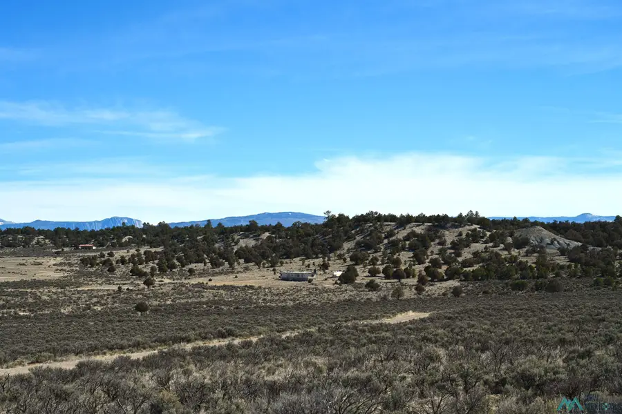00 Pajarito Road, Tierra Amarilla, NM 87575 - #2