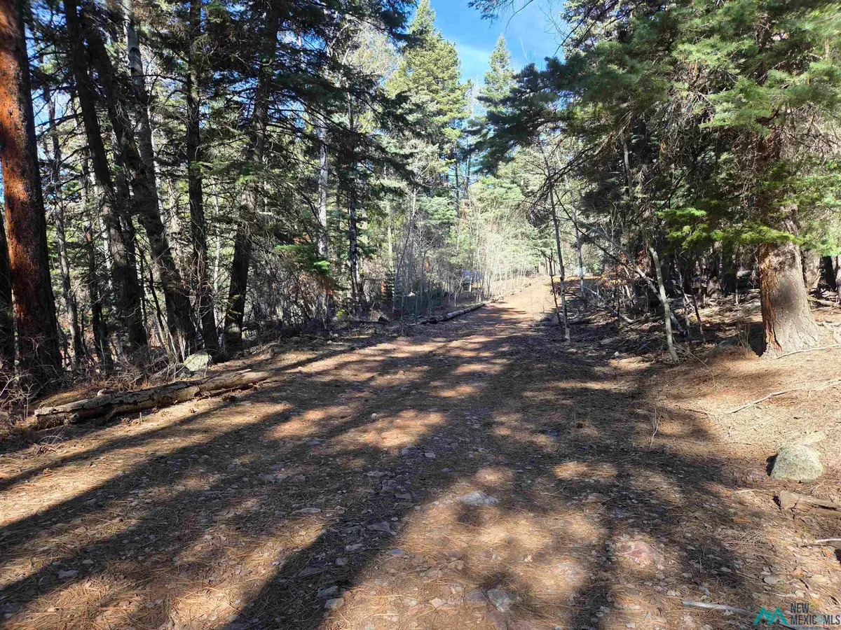 29 & 30 Brazos Lodge Estates Drive, Chama, NM 87520 - #1
