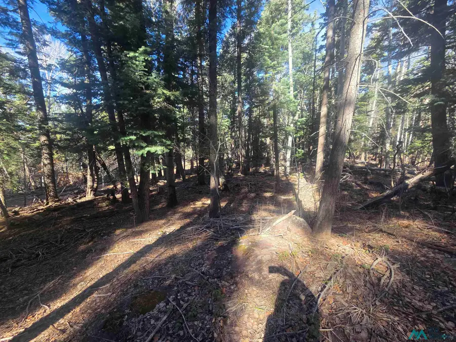 29 & 30 Brazos Lodge Estates Drive, Chama, NM 87520 - #2