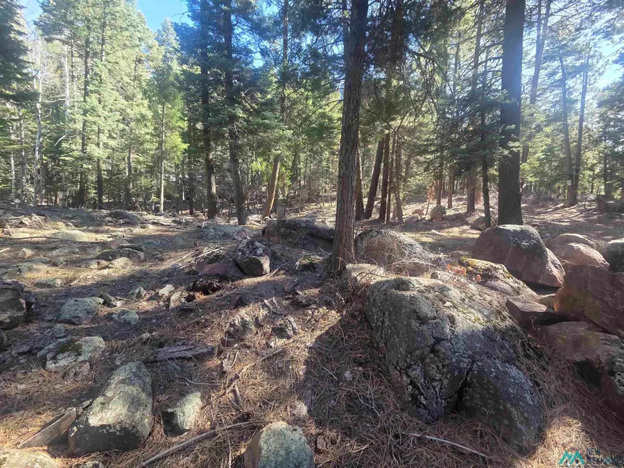 29 & 30 Brazos Lodge Estates Drive, Chama, NM 87520 - #3