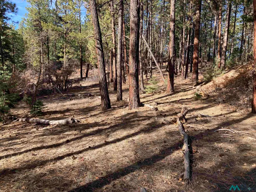TBD Serenity Drive, Chama, NM 87520 - #2