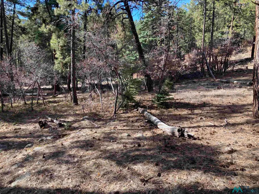 TBD Serenity Drive, Chama, NM 87520 - #3