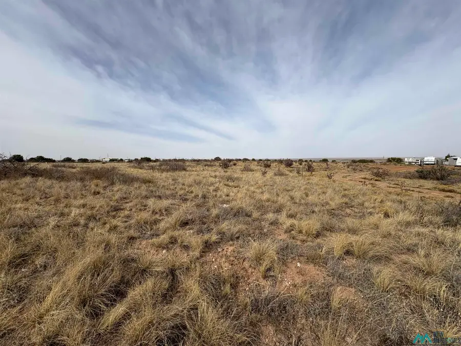 Lot 66 W Campground Lane, Lake Sumner, NM 88119 - #3