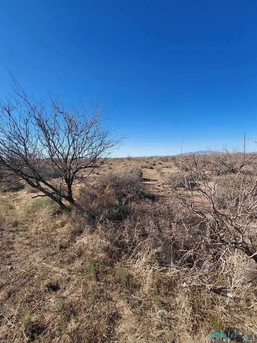 XX Dona Ana Road, Deming, NM 88030 - #2