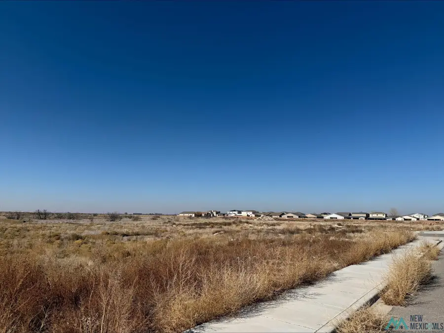 UNIT 9 Tract 2 Phase 3, Hobbs, NM 88240 - #3